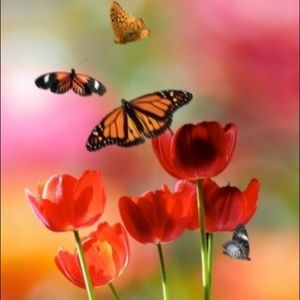 Meet your Posher, Ping